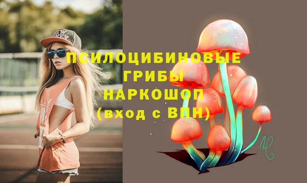 jwh Протвино