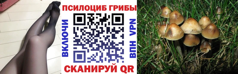 цена наркотик  Нягань  Псилоцибиновые грибы прущие грибы 